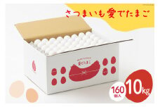 AH101 【業務用】さつまいも愛でたまご 10kg【 島原市 業務用 直送 卵破損補償 】