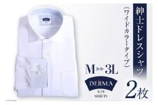 AH158-2 紳士 ドレスシャツ 白 2枚 セット Lサイズ （ワイドカラータイプ）DEJIMA SHIRTS MN-S003【 シャツ ワイシャツ メンズ ノーアイロン 日本製 吸水速乾 長崎県 島原市】