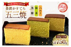 AH165 肥前島原 豊潤かすてら 250g×3種 セット 【 五三焼 カステラ かすてら カット済み 抹茶 黒糖 和菓子 お菓子 スイーツ おやつ お土産 松井老舗 長崎県 島原市 】