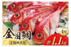 BI094 金目鯛 大サイズ (200g～300g) 4尾 計1.1kg 程度 ＜下処理済み＞【 鯛 たい タイ キンメダイ キンメ 真空パック 個包装 煮付け 塩焼き 冷凍 焼き魚 長崎県 島原市 】