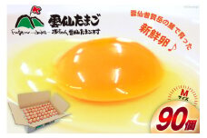 BI027 たっぷり！ 雲仙たまごMサイズ 90個(85個＋割れ補償5個入り) [ 卵 たまご 生卵 鶏卵 赤卵 玉子 新鮮 塚ちゃん雲仙たまご村 長崎県 島原市 ]