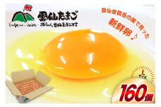 BI029 どっさり！ 雲仙たまごLサイズ 160個(150個＋割れ補償10個入り) [ 卵 たまご 生卵 鶏卵 赤卵 玉子 新鮮 塚ちゃん雲仙たまご村 長崎県 島原市 ]