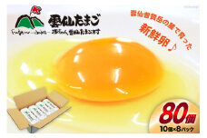 BI025 雲仙たまごLサイズ  80個 (10個入り×8パック)(75個＋割れ補償5個入り) [ 卵 たまご 生卵 鶏卵 赤卵 玉子 新鮮 塚ちゃん雲仙たまご村 長崎県 島原市 ]