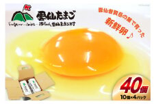 BI024 雲仙たまごLサイズ  40個 (10個入り×4パック) (37個＋割れ補償3個入り) [ 卵 たまご 生卵 鶏卵 赤卵 玉子 新鮮 塚ちゃん雲仙たまご村 長崎県 島原市 ]