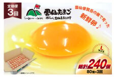 BI037 3回 定期便 たっぷり！ 雲仙たまごLサイズ 80個 (75個＋割れ補償5個入り) [ 卵 たまご 生卵 鶏卵 赤卵 玉子 新鮮 塚ちゃん雲仙たまご村 長崎県 島原市 ]