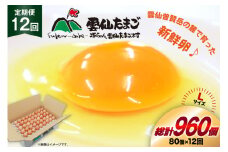 BI039 12回 定期便 たっぷり！ 雲仙たまごLサイズ 80個 (75個＋割れ補償5個入り) [ 卵 たまご 生卵 鶏卵 赤卵 玉子 新鮮 塚ちゃん雲仙たまご村 長崎県 島原市 ]