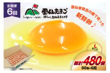 BI038 6回 定期便 たっぷり！ 雲仙たまごLサイズ 80個 (75個＋割れ補償5個入り) [ 卵 たまご 生卵 鶏卵 赤卵 玉子 新鮮 塚ちゃん雲仙たまご村 長崎県 島原市 ]