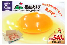 BI041 6回 定期便 たっぷり！ 雲仙たまごMサイズ 90個(85個＋割れ補償5個入り) [ 卵 たまご 生卵 鶏卵 赤卵 玉子 新鮮 塚ちゃん雲仙たまご村 長崎県 島原市 ]