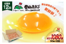 BI042 12回 定期便 たっぷり！ 雲仙たまごMサイズ 90個(85個＋割れ補償5個入り) [ 卵 たまご 生卵 鶏卵 赤卵 玉子 新鮮 塚ちゃん雲仙たまご村 長崎県 島原市 ]