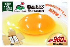 BI036 12回 定期便 雲仙たまごLサイズ  80個 (10個入り×8パック)(75個＋割れ補償5個入り) [ 卵 たまご 生卵 鶏卵 赤卵 玉子 新鮮 塚ちゃん雲仙たまご村 長崎県 島原市 ]