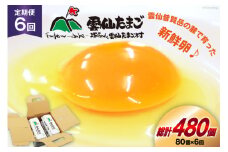 BI035 6回 定期便 雲仙たまごLサイズ  80個 (10個入り×8パック)(75個＋割れ補償5個入り) [ 卵 たまご 生卵 鶏卵 赤卵 玉子 新鮮 塚ちゃん雲仙たまご村 長崎県 島原市 ]