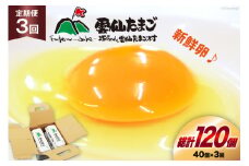 BI031 3回 定期便 雲仙たまごLサイズ 40個 (10個入り×4パック) (37個＋割れ補償3個入り) [ 卵 たまご 生卵 鶏卵 赤卵 玉子 新鮮 塚ちゃん雲仙たまご村 長崎県 島原市 ]