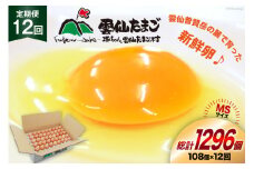 BI045 12回 定期便 たっぷり！ 雲仙たまごMSサイズ 108個(100個＋割れ補償8個入り) [ 卵 たまご 生卵 鶏卵 赤卵 玉子 新鮮 塚ちゃん雲仙たまご村 長崎県 島原市 ]
