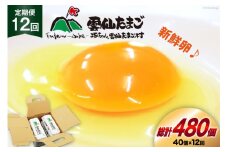 BI033 12回 定期便 雲仙たまごLサイズ 40個 (10個入り×4パック) (37個＋割れ補償3個入り) [ 卵 たまご 生卵 鶏卵 赤卵 玉子 新鮮 塚ちゃん雲仙たまご村 長崎県 島原市 ]