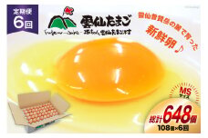 BI044 6回 定期便 たっぷり！ 雲仙たまごMSサイズ 108個(100個＋割れ補償8個入り) [ 卵 たまご 生卵 鶏卵 赤卵 玉子 新鮮 塚ちゃん雲仙たまご村 長崎県 島原市 ]