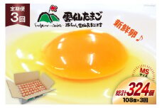 BI043 3回 定期便 たっぷり！ 雲仙たまごMSサイズ 108個(100個＋割れ補償8個入り) [ 卵 たまご 生卵 鶏卵 赤卵 玉子 新鮮 塚ちゃん雲仙たまご村 長崎県 島原市 ]