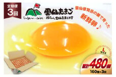 BI046 3回 定期便 どっさり！ 雲仙たまごLサイズ 160個(150個＋割れ補償10個入り) [ 卵 たまご 生卵 鶏卵 赤卵 玉子 新鮮 塚ちゃん雲仙たまご村 長崎県 島原市 ]