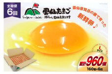 BI047 6回 定期便 どっさり！ 雲仙たまごLサイズ 160個(150個＋割れ補償10個入り) [ 卵 たまご 生卵 鶏卵 赤卵 玉子 新鮮 塚ちゃん雲仙たまご村 長崎県 島原市 ]