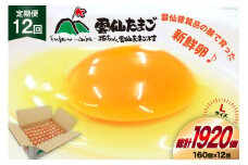 BI048 12回 定期便 どっさり！ 雲仙たまごLサイズ 160個(150個＋割れ補償10個入り) [ 卵 たまご 生卵 鶏卵 赤卵 玉子 新鮮 塚ちゃん雲仙たまご村 長崎県 島原市 ]