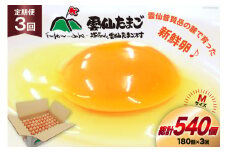 BI049 3回 定期便 どっさり！ 雲仙たまごMサイズ 180個(170個＋割れ補償10個入り) [ 卵 たまご 生卵 鶏卵 赤卵 玉子 新鮮 塚ちゃん雲仙たまご村 長崎県 島原市 ]