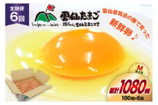 BI050 6回 定期便 どっさり！ 雲仙たまごMサイズ 180個(170個＋割れ補償10個入り) [ 卵 たまご 生卵 鶏卵 赤卵 玉子 新鮮 塚ちゃん雲仙たまご村 長崎県 島原市 ]