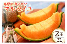 AI112 【令和7年度出荷分】島原赤肉メロン「マルセイユ」 3L × 2玉 [ メロン めろん マルセイユ 赤肉 フルーツ 果物 小原商店 長崎県 島原市 ]