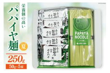 AI131 パパイヤ麺 5食 セット めんつゆ付 [ 麺 乾麺 手延べ麺 素麺 手延べそうめん 冷麺 にゅうめん にゅう麺 無農薬 青パパイヤ ヌードル コウセイプランニング 長崎県 島原市 ]