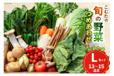 AI023【10～5月限定出荷】こむたの旬の野菜つめあわせ(13～15品目)おまかせ L セット 【 野菜 やさい 旬 種類 人気 オススメ 新鮮 詰め合わせ こむた 小無田 青果 長崎県 島原市 】