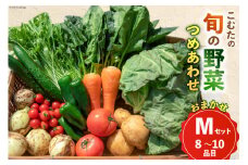 AI022【10～5月限定出荷】こむたの旬の野菜つめあわせ(8～10品目)おまかせ M セット 【 野菜 やさい 旬 種類 人気 オススメ 新鮮 詰め合わせ こむた 小無田 青果 長崎県 島原市 】