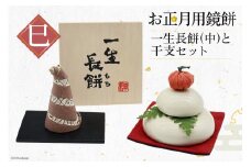 AI285 お正月用鏡餅 一生長餅(中) 干支「巳」セット [ 陶器 陶器製 干支 飾り 巳年 巳 へび年 インテリア 正月 お正月 迎春 長崎県 島原市 ]