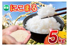 AI242 米 令和6年 新米 にこまる 5kg [ 令和6年産 白米 精米 ごはん ご飯 こめ おこめ もちもち おにぎり 粘り 粘り強め 長崎県産 長崎県産米 長崎にこまる 長崎県 島原市 ]       