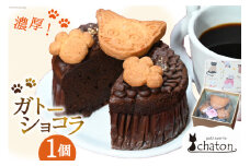 AI189 ガトーショコラ 1個 [ 冷凍 焼き菓子 濃厚 チョコケーキ チョコレートケーキ ケーキ 焼き菓 スイーツ 焼き菓子 お菓子 バレンタイン パティスリーシャトン 長崎県 島原市 ]