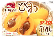 AI208 【令和8年度出荷分】訳あり 長崎 びわ 500g 温室ハウス栽培 長崎早生 [ フルーツ 枇杷 ビワ 果物 化粧箱入り 季節限定 99アイランドファーム 長崎県 島原市 ]