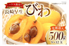 AI209 【令和8年度出荷分】赤秀 長崎 びわ 500g 温室ハウス栽培 長崎早生 [フルーツ 枇杷 ビワ 果物 化粧箱入り 季節限定 99アイランドファーム 長崎県 島原市 ]