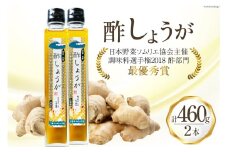 AI203 酢しょうが 230g 2本 計460g [ 生姜 しょうが ショウガ 調味料 酢 松本農園 人作 長崎県 島原市 ]