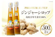 AI201 ジンジャー シロップ 250g 2本 計500g [ 生姜 しょうが ショウガ ジンジャーエール ジンジャーハイボール 松本農園 人作 長崎県 島原市 ]
