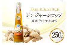 AI200 ジンジャー シロップ 250g 1本 [ 生姜 しょうが ショウガ ジンジャーエール ジンジャーハイボール 松本農園 人作 長崎県 島原市 ]
