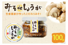 AI204 みそdeしょうが 100g 1個 [ 生姜 しょうが ショウガ 味噌 みそ お供 薬味 保存料 添加物 不使用 国産 松本農園 人作 長崎県 島原市 ]