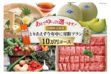 AI295 返礼品はあとでゆっくり選べます！とりあえず今年中に寄附プラン！【10万円コース】 [ 長崎県 島原市 ]