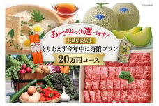 AI296 返礼品はあとでゆっくり選べます！とりあえず今年中に寄附プラン！【20万円コース】 [ 長崎県 島原市 ]
