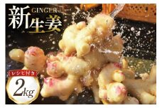 AI380 島原百年生姜 新生姜 2kg [ 生姜 しょうが ショウガ 野菜 やさい ジンジャー 薬味 国産 人作 長崎県 島原市 ]
