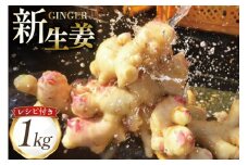 AI379 島原百年生姜 新生姜 1kg [ 生姜 しょうが ショウガ 野菜 やさい ジンジャー 薬味 国産 人作 長崎県 島原市 ]
