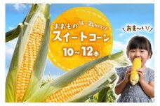 AI378 スイートコーン 10〜12本 L〜2Lサイズ おおもの [ とうもろこし コーン 野菜 やさい あまい 甘い おおもの 人作 長崎県 島原市 ]