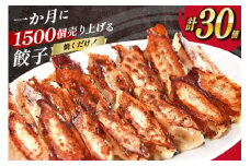 AI297 焼くだけ！一か月に1500個売り上げる 餃子 15個 2パック 計30個 [ ぎょうざ ギョウザ 冷凍ギョウザ 長崎県 島原市 ]