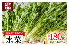 AI339 定期便 6回 水菜 30束 [ 野菜 みずな サラダ やさい 冷蔵 葉物野菜 田中農園 長崎県 島原市 ]
