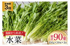 AI338 定期便 3回 水菜 30束 [ 野菜 みずな サラダ やさい 冷蔵 葉物野菜 田中農園 長崎県 島原市 ]
