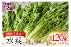 AI337 定期便 12回 水菜 10束 [ 野菜 みずな サラダ やさい 冷蔵 葉物野菜 田中農園 長崎県 島原市 ]