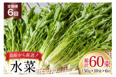 AI336 定期便 6回 水菜 10束 [ 野菜 みずな サラダ やさい 冷蔵 葉物野菜 田中農園 長崎県 島原市 ]
