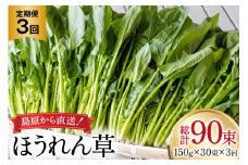AI326 定期便 3回 ほうれん草 30束 [ 野菜 ホウレン草 やさい ホウレンソウ 冷蔵 葉物野菜 田中農園 長崎県 島原市 ]