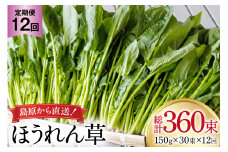 AI328 定期便 12回 ほうれん草 30束 [ 野菜 ホウレン草 やさい ホウレンソウ 冷蔵 葉物野菜 田中農園 長崎県 島原市 ]